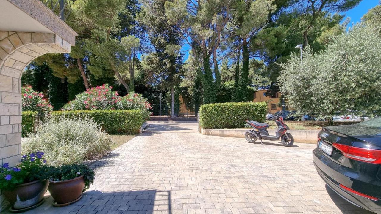 Ena Lägenhet Novigrad Istria Exteriör bild